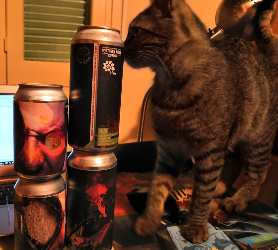 A grey cat sniffing a stack of beer cans