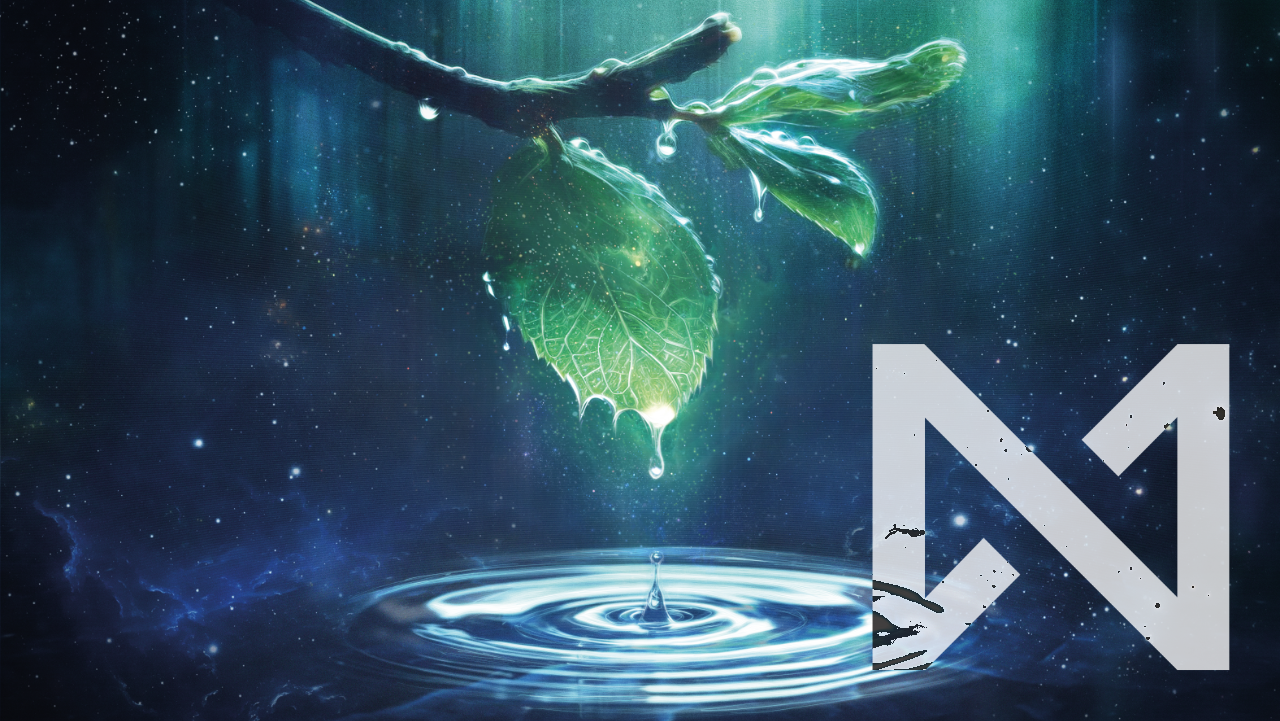 Startup Balance Update 25.11